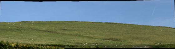 Shoulsbury Castle (Hillfort)