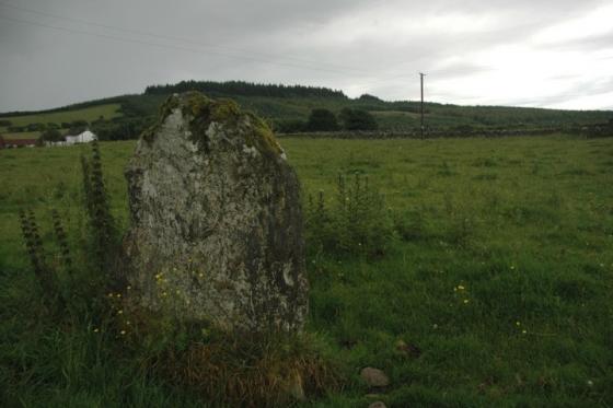 Patrickstown (Standing Stone / Menhir)