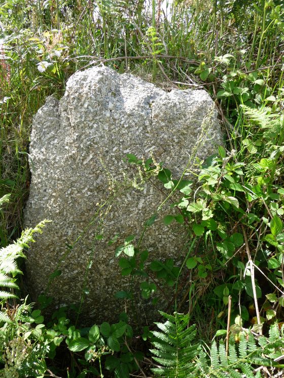 Tregeseal (Stone Circle)