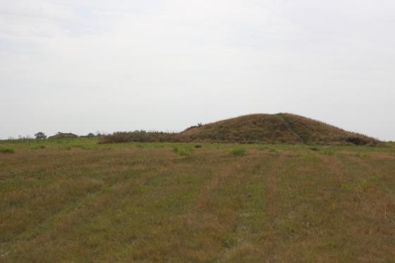 Glumslövs backar (Barrow / Cairn Cemetery)