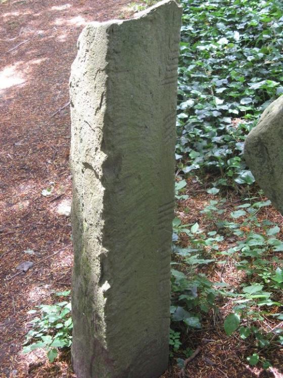 Adare Manor (Standing Stones)