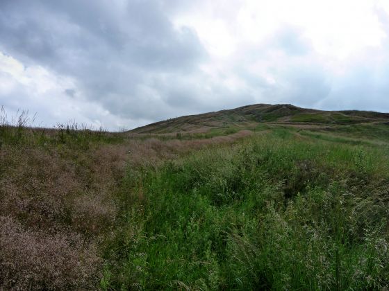 Shire Ditch (Dyke)