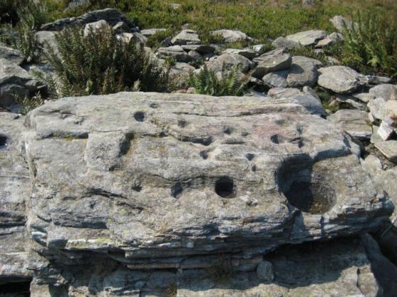 Bric Lombatera (Cup Marked Stone)