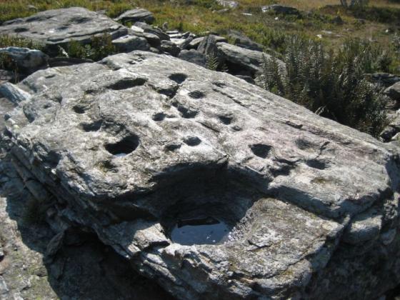 Bric Lombatera (Cup Marked Stone)