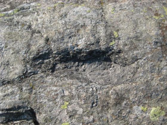 Bric Lombatera (Cup Marked Stone)