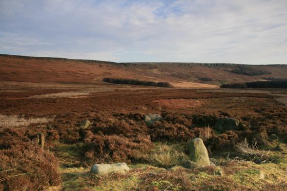 Bamford Moor South (Stone Circle)