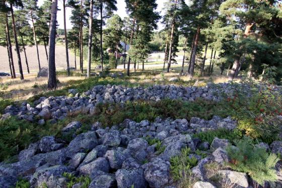 Borgby skans (Hillfort)
