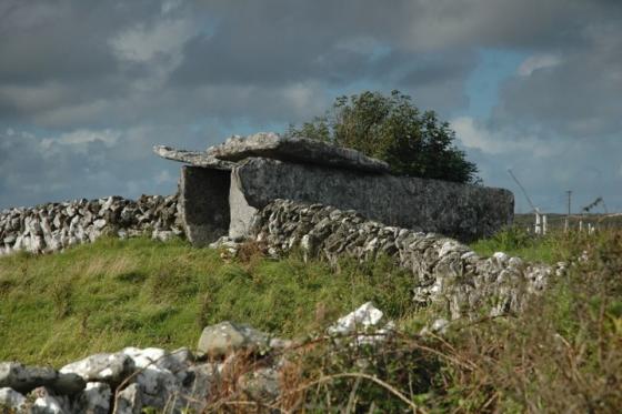 Ballyganner South (Wedge Tomb)
