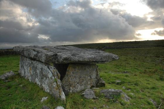 Poulaphuca (Wedge Tomb)
