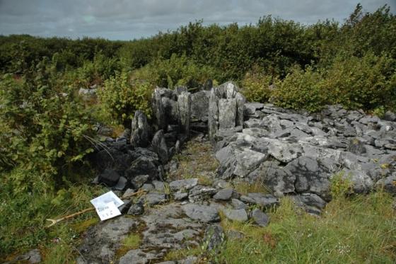 Parknabinnia (Cl. 153) (Court Tomb)