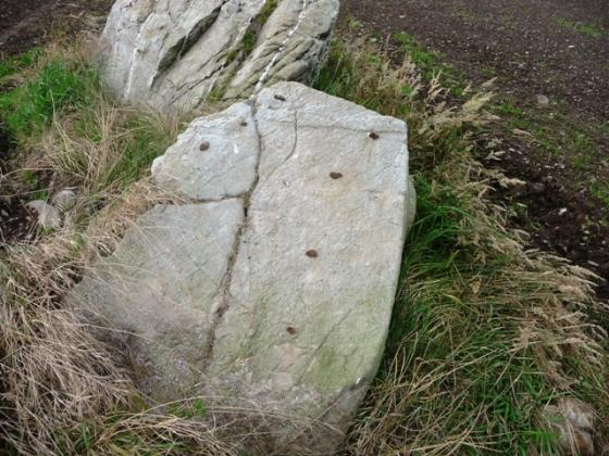 Pitglassie (Stone Circle)
