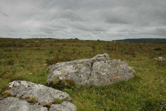 Parknabinnia (Cl. 66) (Wedge Tomb)