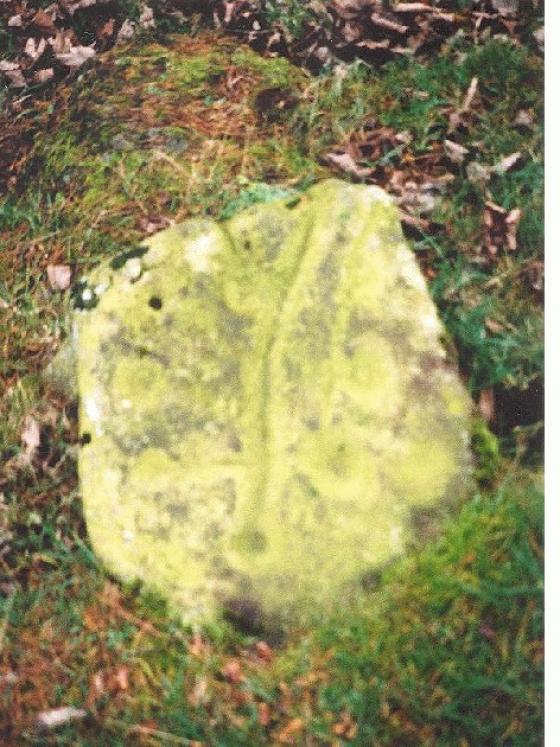 Tormain Hill (Cup and Ring Marks / Rock Art)