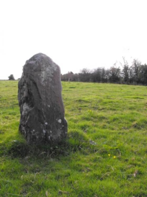 The Timoney Stones (Standing Stones)
