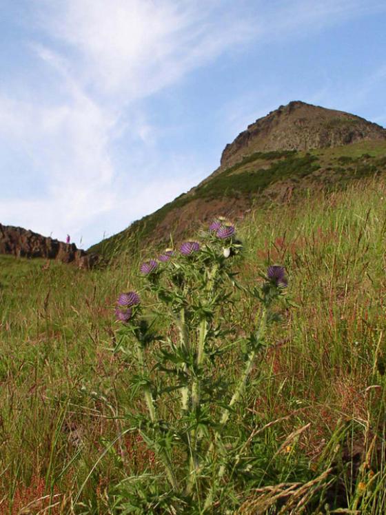 Arthur’s Seat