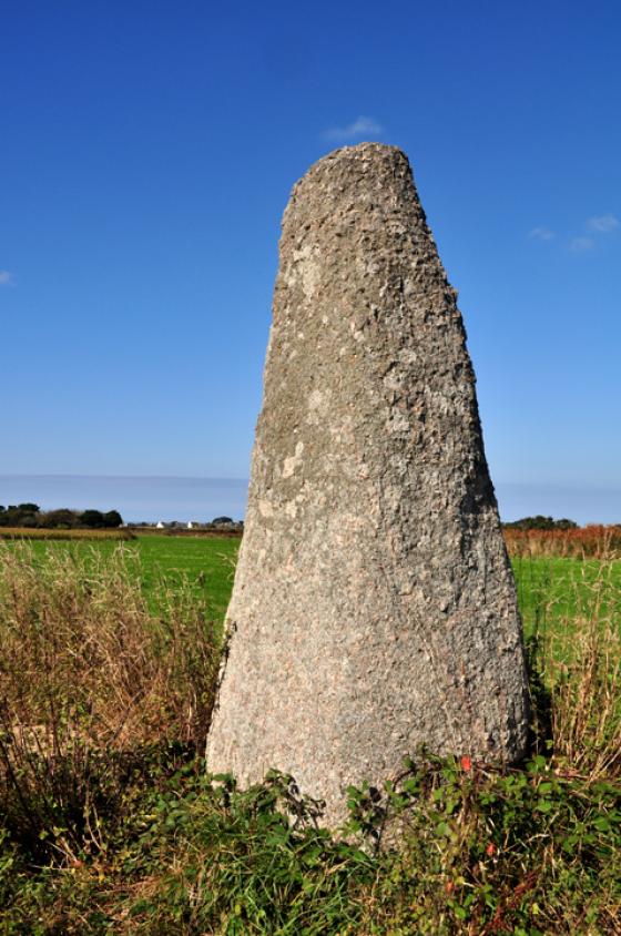 St Denec (Standing Stones)