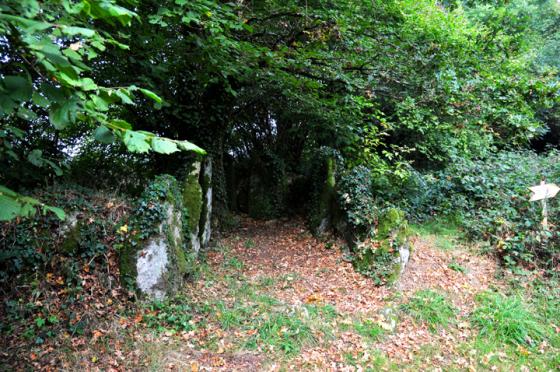 Rohanno (Allee-Couverte)