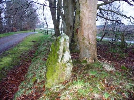 Marnoch Lodge (Standing Stone / Menhir)