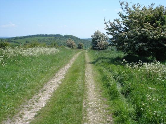 Fosbury Camp (Hillfort)