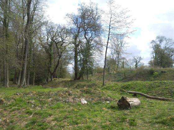 Stokeleigh Camp (Hillfort)