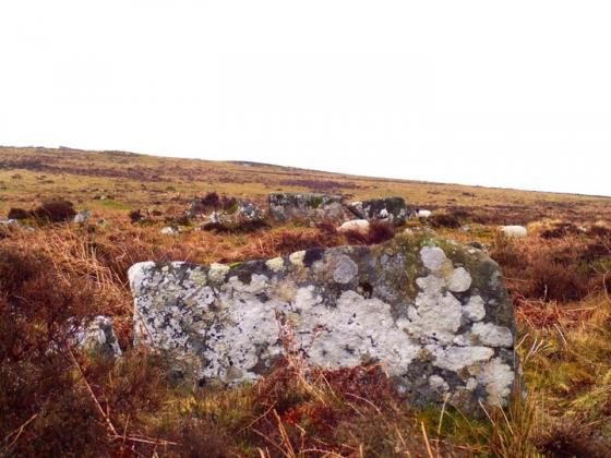 East Bovey Head (Ancient Village / Settlement / Misc. Earthwork)