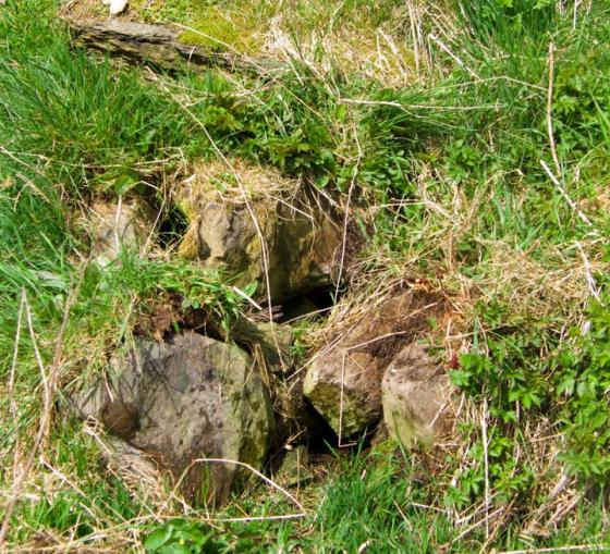 The Great Sacred Monuments of Stenness