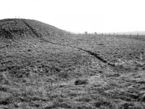 Stonehenge Cursus Group (Barrow / Cairn Cemetery)