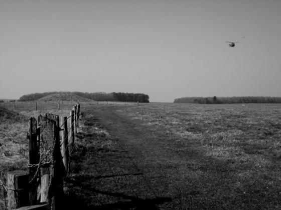Stonehenge Cursus Group (Barrow / Cairn Cemetery)