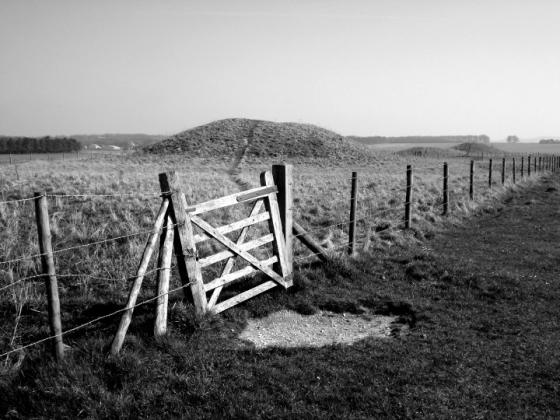 Stonehenge and its Environs