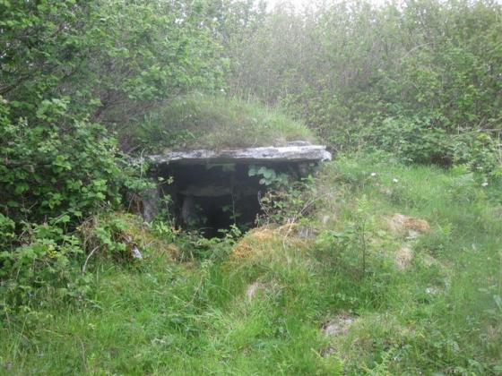 Baur South (Wedge Tomb)