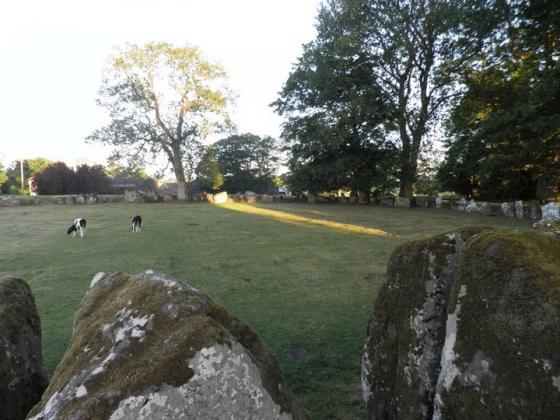 Grange / Lios, Lough Gur (Stone Circle)