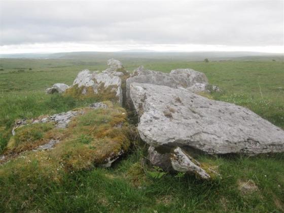Castletown (Wedge Tomb)
