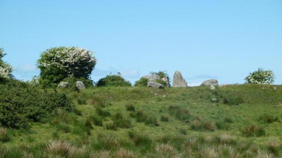 Streedagh (Court Tomb)
