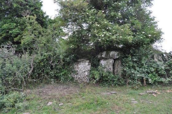 Paddock (Wedge Tomb)