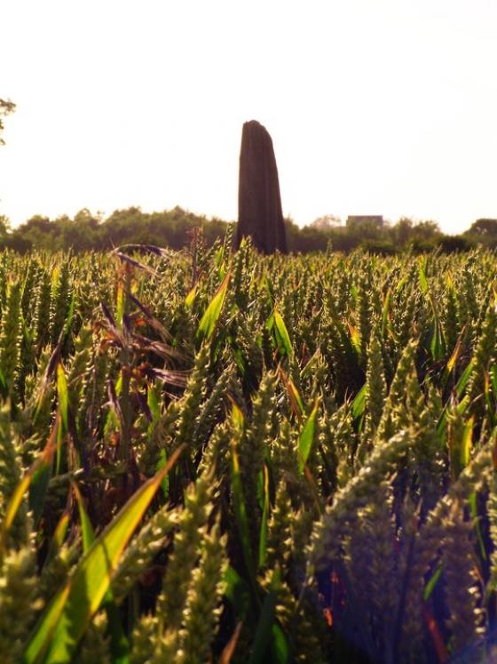 The Devil’s Arrows (Standing Stones)