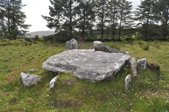 Knockagappul 2 (Wedge Tomb)
