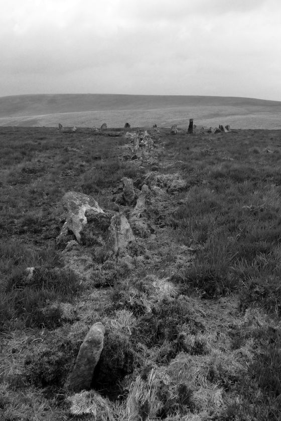 Stall Moor Stone Row