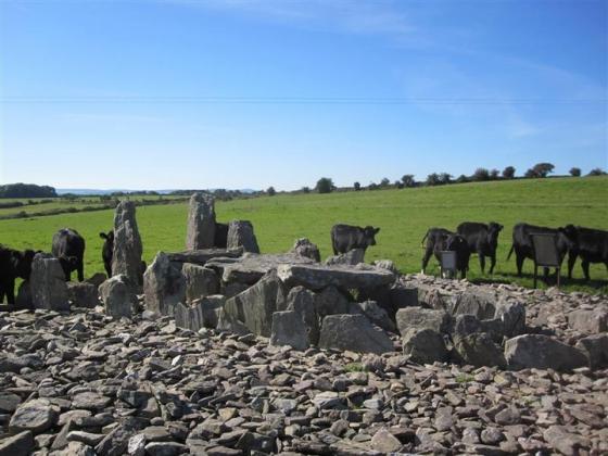 Island (Wedge Tomb)