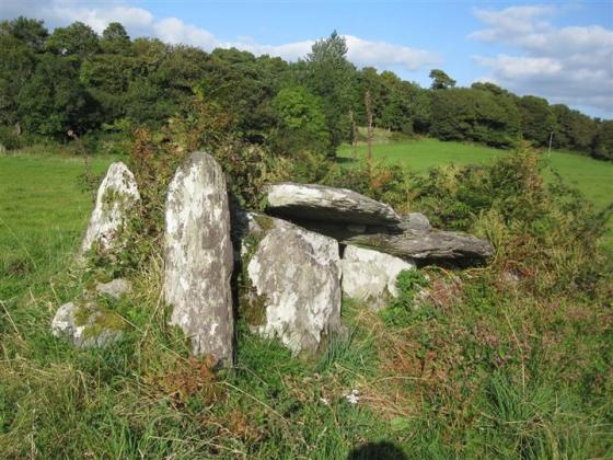 Inchincurka (Wedge Tomb)