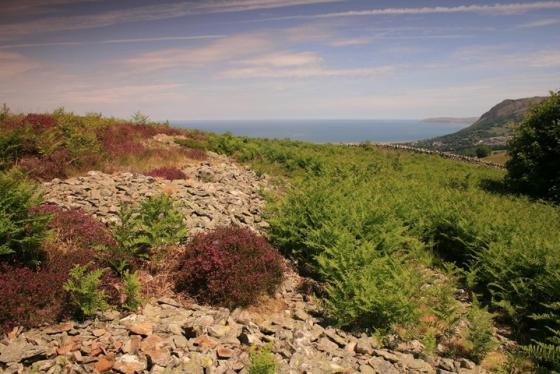 Maes y Gaer (Hillfort)