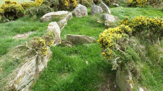 Gortbrack North (Court Tomb)