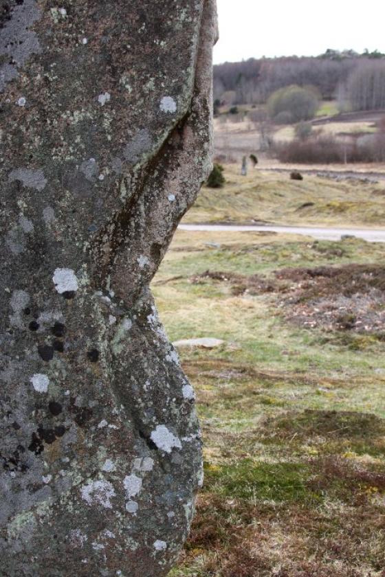 Greby Gravfält (Barrow / Cairn Cemetery)