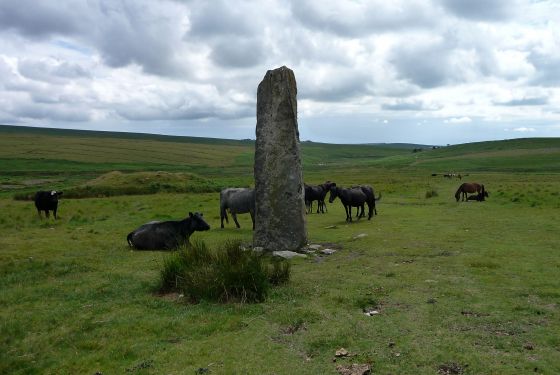 Drizzlecombe Megalithic Complex