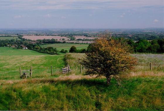 Segsbury Camp (Hillfort)