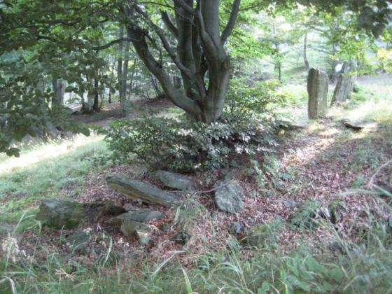 Mount Ciabergia’s cromlech (remains)