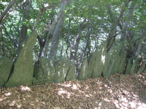 Ocelum (Hillfort)