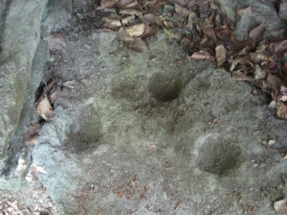 Ocelum (Hillfort)