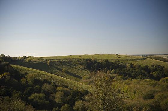 Old Winchester Hill (Hillfort)