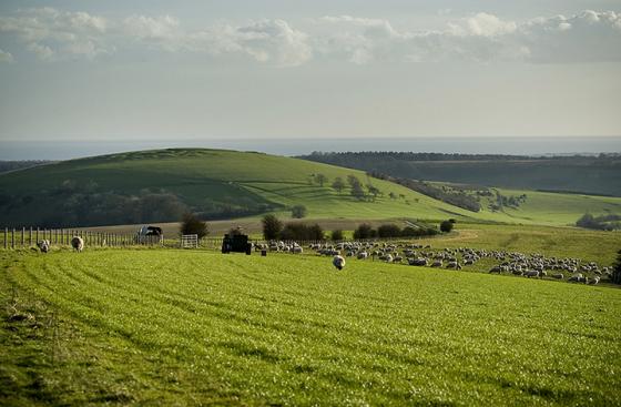 Harrow Hill (Ancient Mine / Quarry)