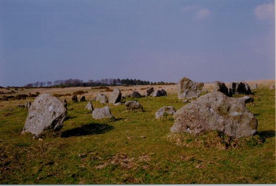 Yellowmead Multiple Stone Circle